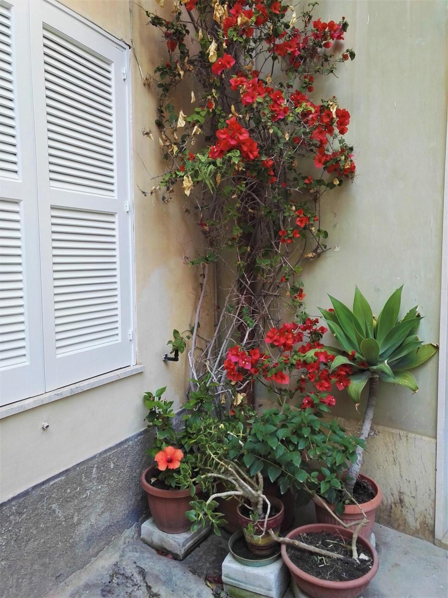 Aloha House Ortigia Villa Syracuse Exterior photo